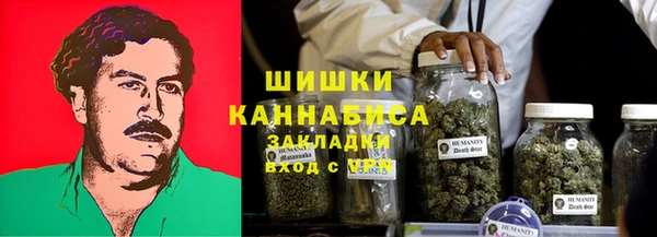 сатива Абаза
