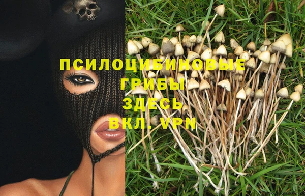 сатива Абдулино