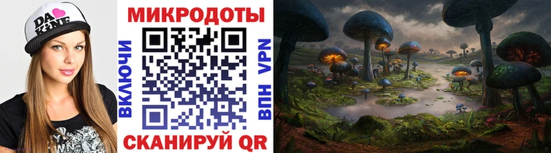 Псилоцибиновые грибы мицелий Алатырь